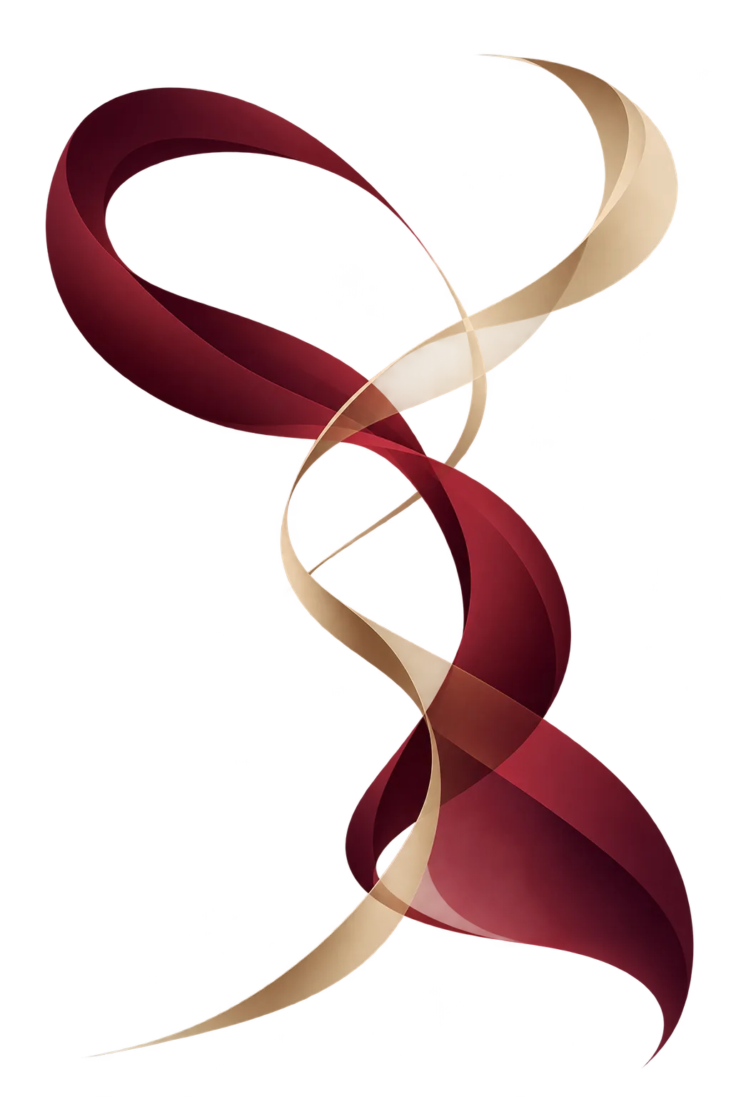 Abstract flowing red and gold ribbon graphic symbolizing precision and elegance